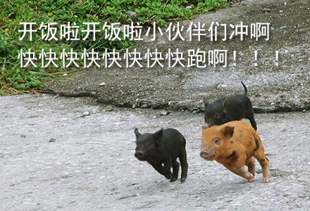 群里开饭啦搞笑图片，开饭啦冲冲冲！