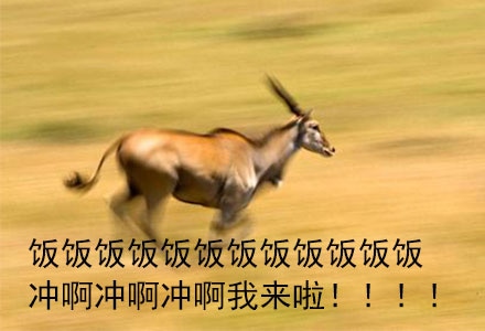 群里开饭啦搞笑图片，开饭啦冲冲冲！