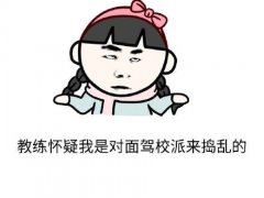 学车的经典说说带图片