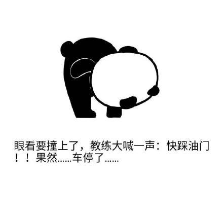 学车的经典说说带图片