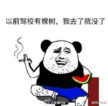 学车的经典说说带图片