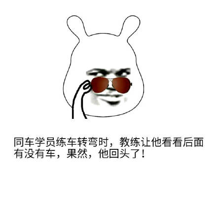 学车的经典说说带图片