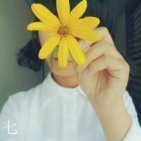 右手举着一朵花微信头像
