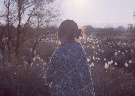 描写山水优美的句子