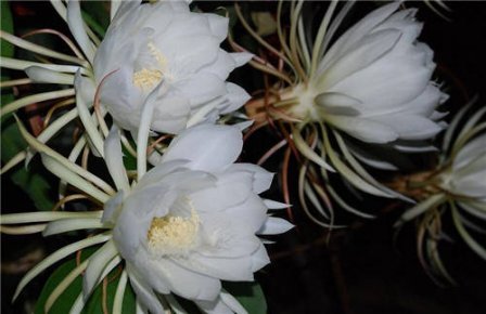 坚持下去的励志句子 坚持不懈的句子_励志句子