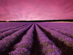晚霞的优美句子 夕阳晚霞的句子