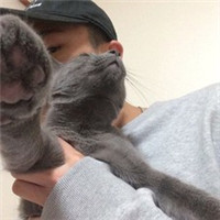 男生萌哒哒头像