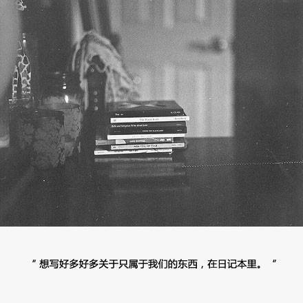 文字爱情语录图片