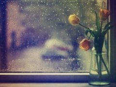 描写雨天心情沉闷的句子_雨天心情不好句子