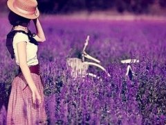 人生励志最优美的句子签名
