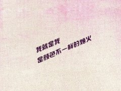 我就是我是颜色不一样的烟火