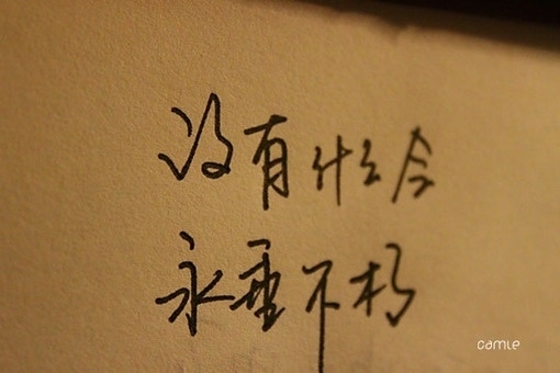 我就是我是颜色不一样的烟火