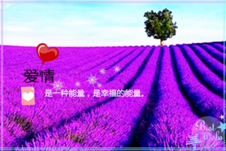 带紫字的可爱网名
