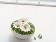 带洁字的可爱网名