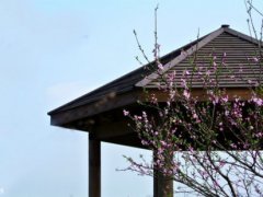 备胎伤感签名 做备胎的伤感句子