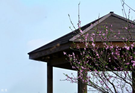 备胎伤感签名