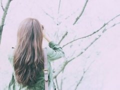 描写桂花树的优美句子