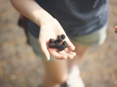 把握命运的励志个性签名