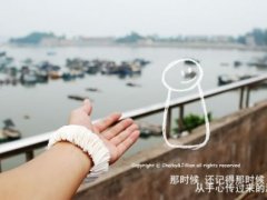 描写树的年轮的优美句子