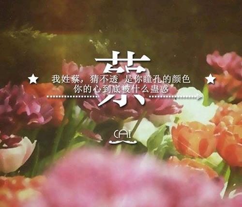 唯美姓氏图片文字