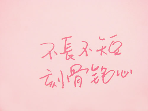 粉色简约文字控图片,缘分是本书!