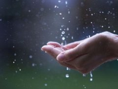 带雨字的可爱网名