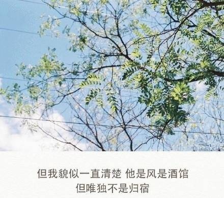 文字图片之很想肆无忌惮的爱你