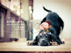 小学生可爱网名 好听的学生网名
