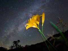 对生活彻底绝望的句子 绝望的句子经典语录
