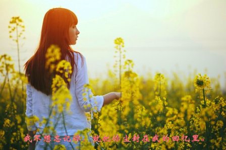 好听的伤感符号网名