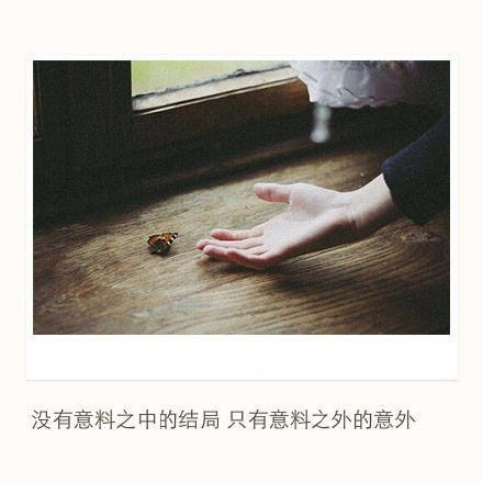 海边微风起，等风也等你！
