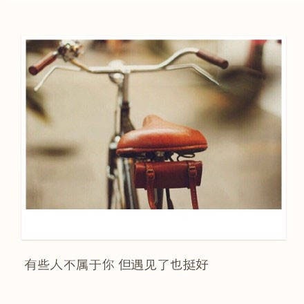 海边微风起，等风也等你！