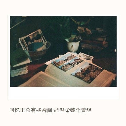 海边微风起，等风也等你！