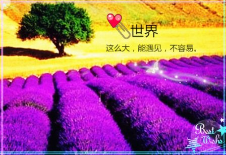 萍水相逢的图片说说