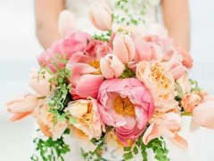 郁金香手捧花图片大全