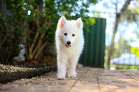 努力工作正能量的句子 工作积极向上的句子_正