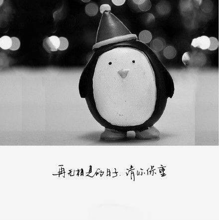 黑白文字控图片,你没来过我没爱过!