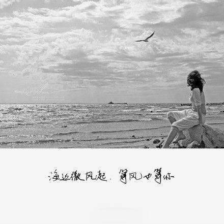 黑白文字控图片,你没来过我没爱过!
