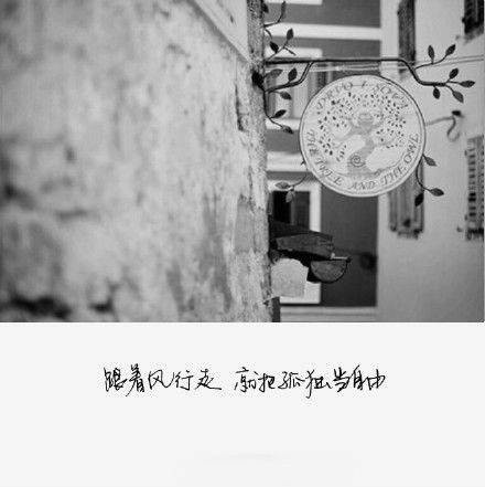 黑白文字控图片,你没来过我没爱过!