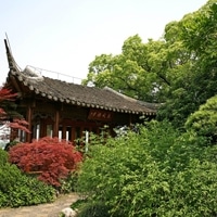 微信头像花风景图片