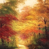 微信头像花风景图片