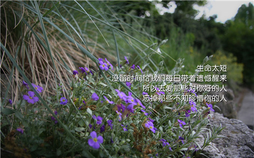 梦想的句子经典语句