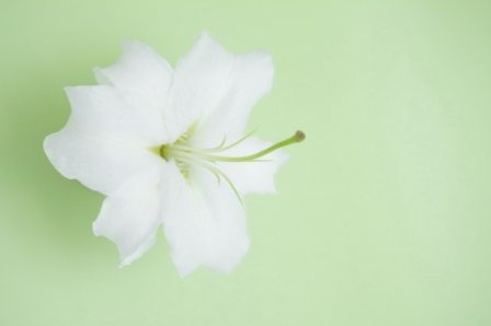 我就是我个性的说说