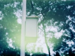 爱情领悟说说经典 经典爱情说说