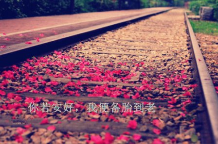 承诺的唯美句子