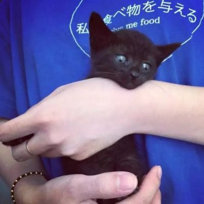 男生屌丝头像