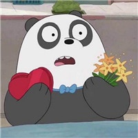 qq熊猫头像高清图片卡通