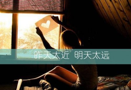 忘不了的唯美句子
