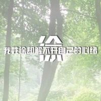姓氏伤感文字头像女生