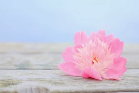 给孩子励志的句子